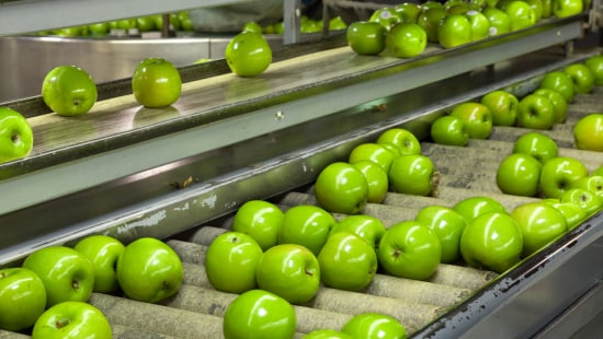 Granny smith apples in a food processing factory