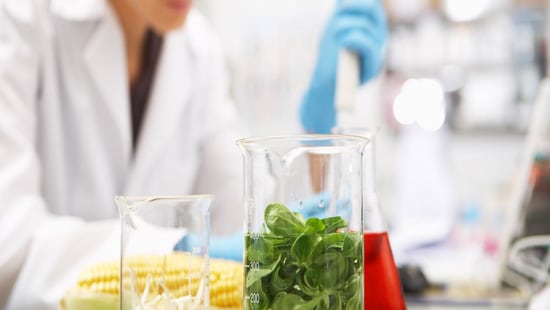 Food Safety Experts in Lab